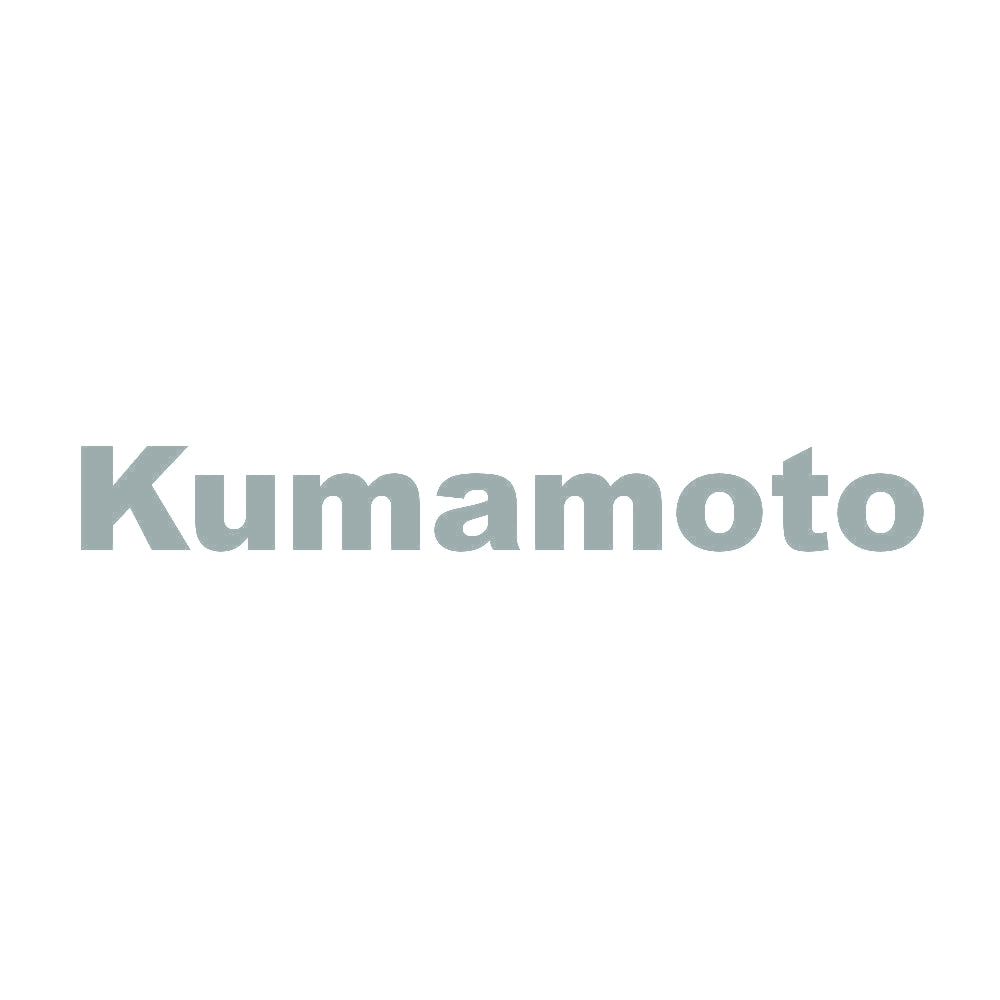 Kumamoto 10