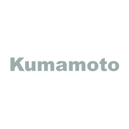 Kumamoto 10
