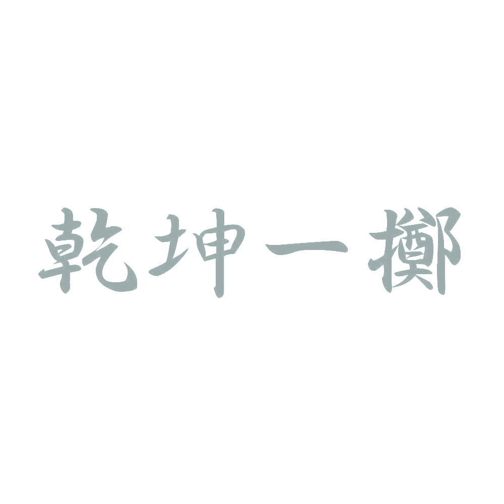 乾坤一擲 10