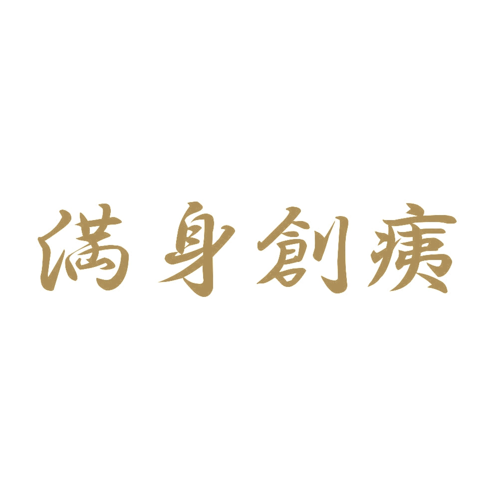 満身創痍 9