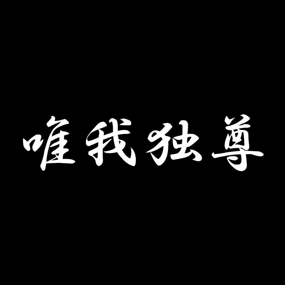 唯我独尊 7