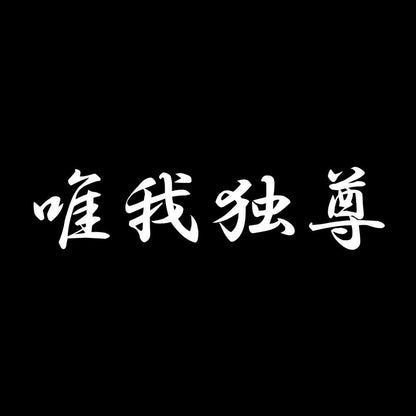 唯我独尊 7