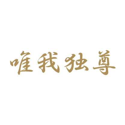 唯我独尊 9