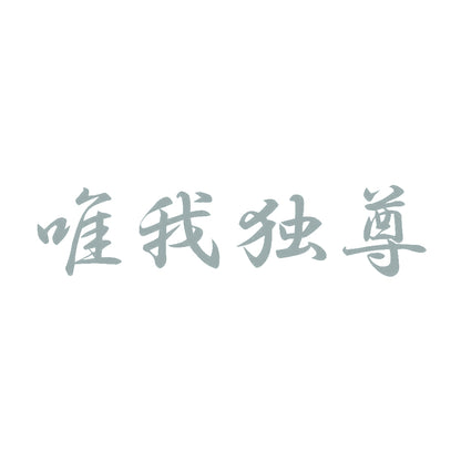 唯我独尊 10