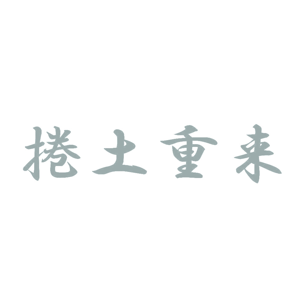 捲土重来 10