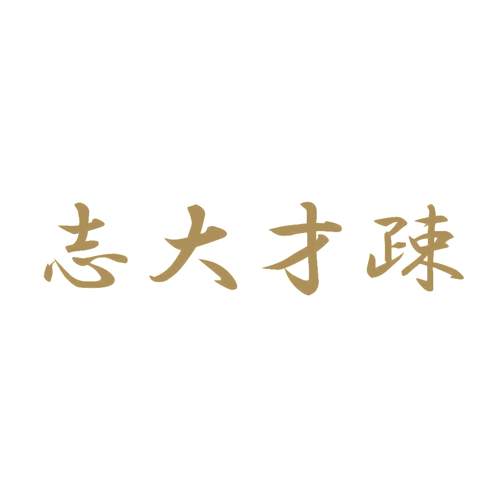 志大才疎 9
