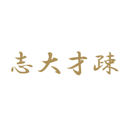 志大才疎 9