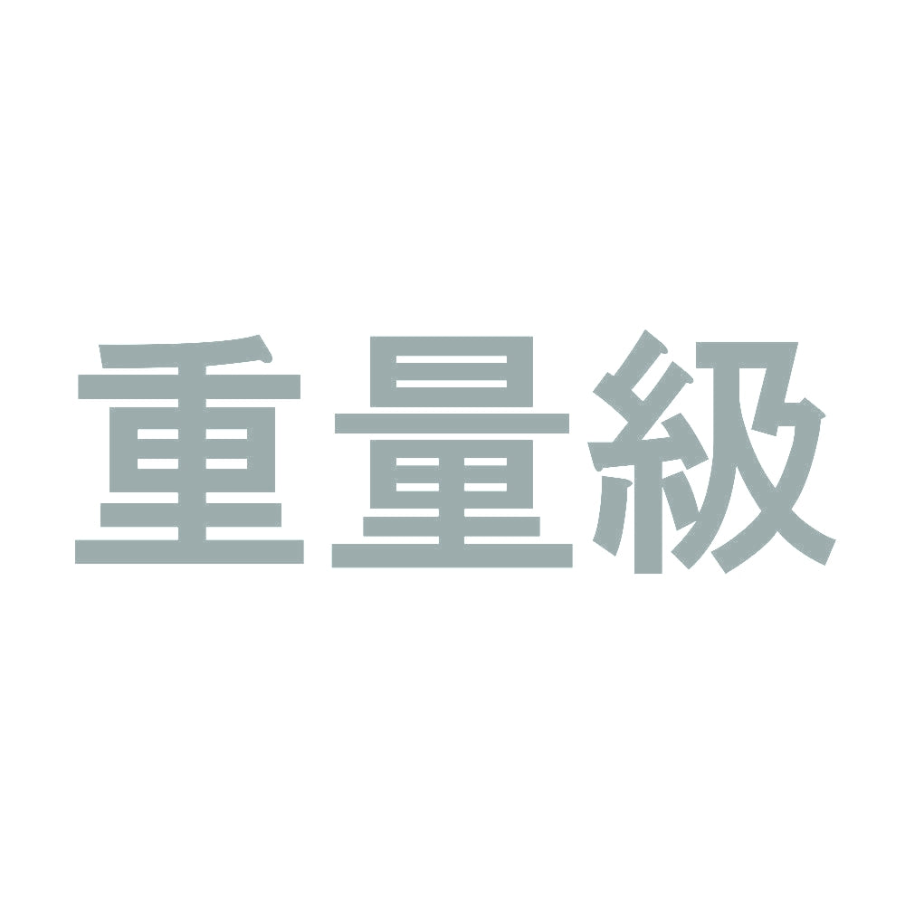 重量級 10
