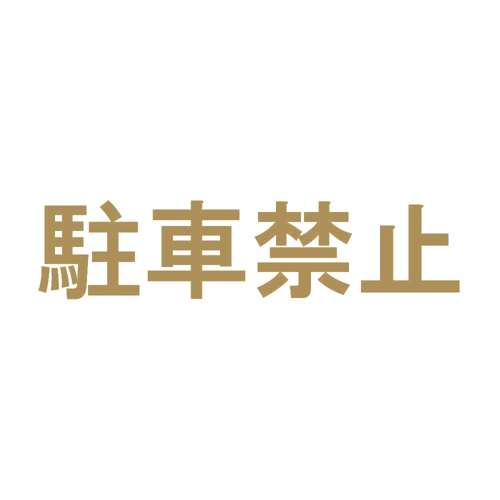 駐車禁止 9