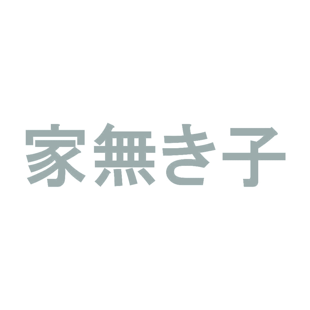 家無き子 10