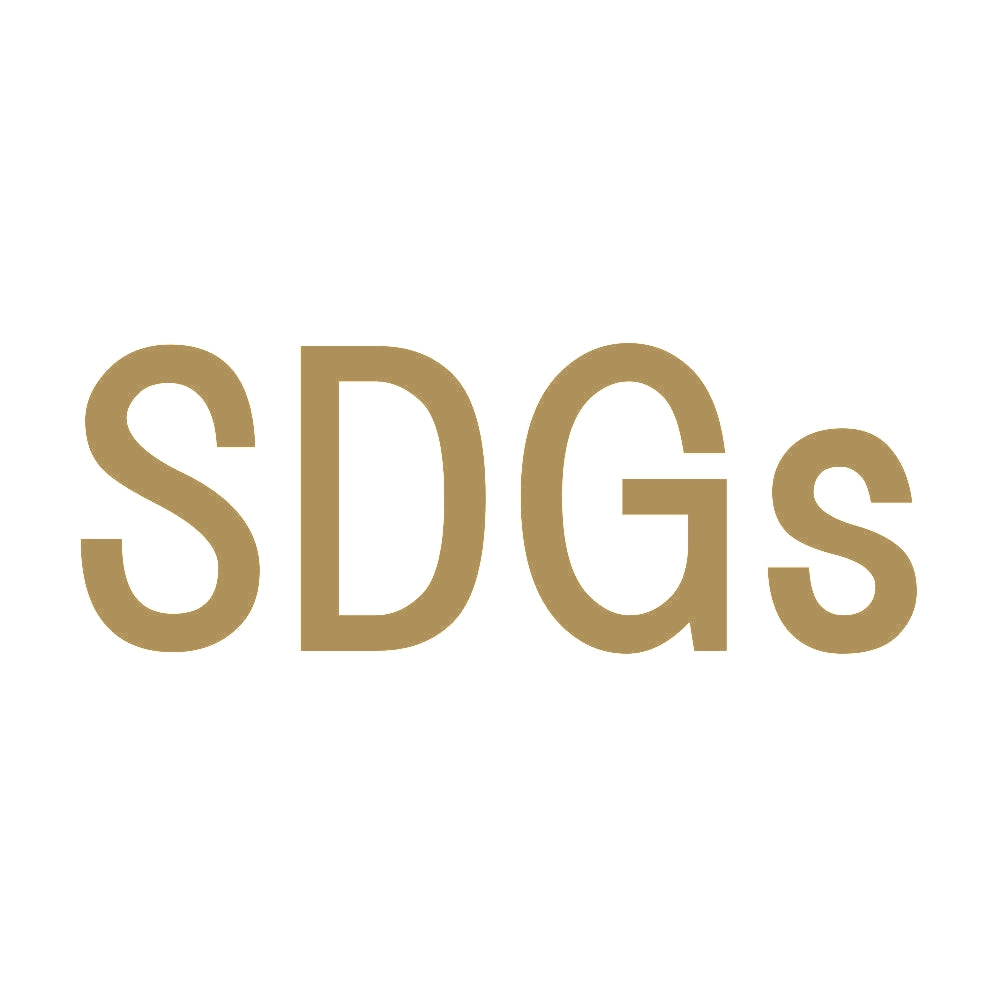SDGs 9