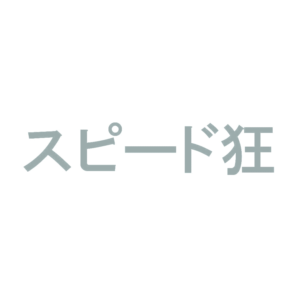 スピード狂 10