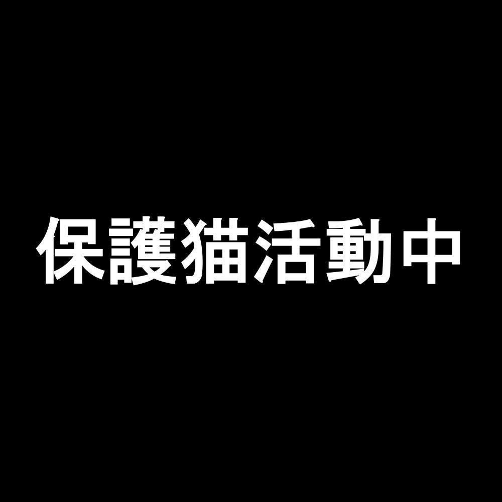 保護猫活動中 7