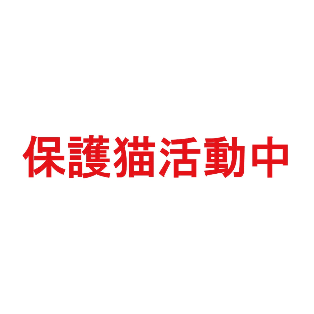 保護猫活動中 8