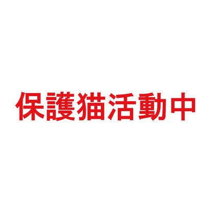 保護猫活動中 8