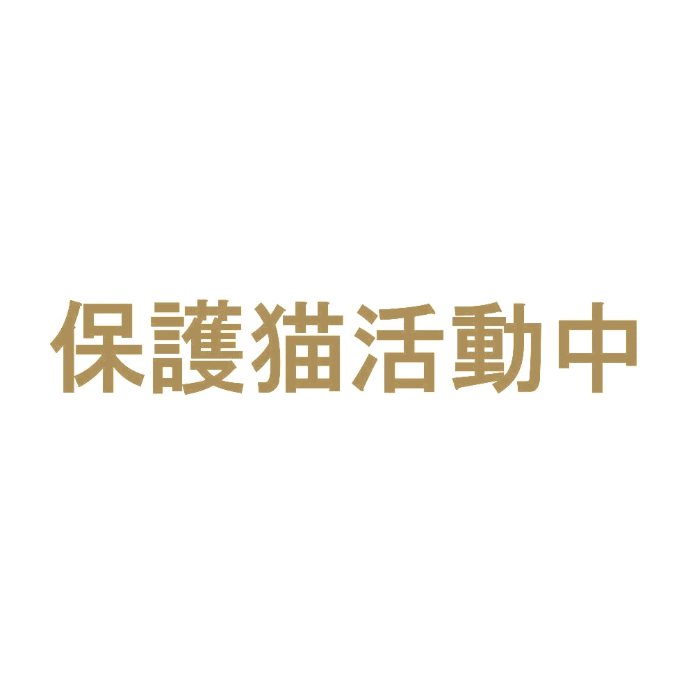 保護猫活動中 9