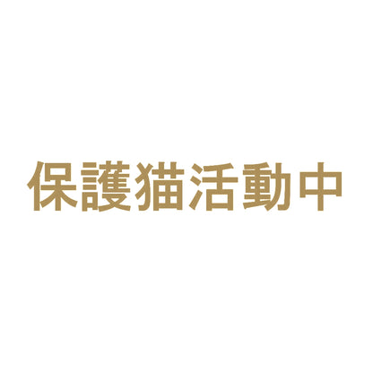 保護猫活動中 9