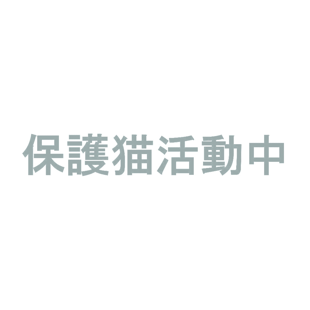 保護猫活動中 10