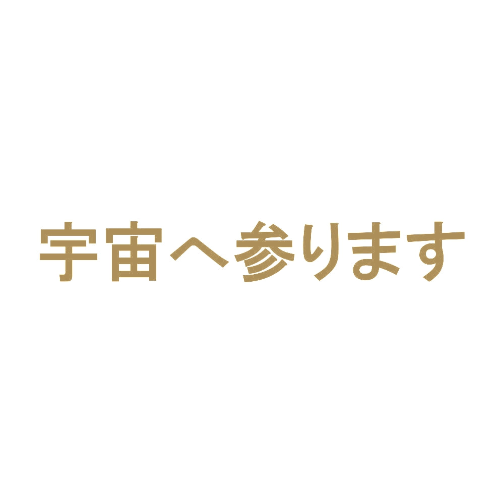 宇宙へ参ります 9