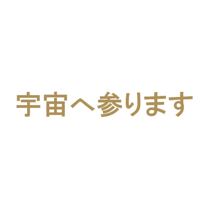 宇宙へ参ります 9