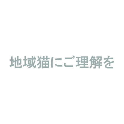 地域猫にご理解を 10