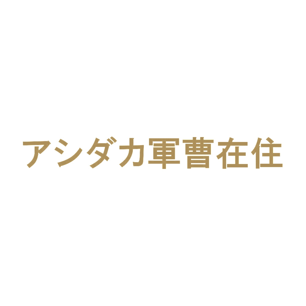 アシダカ軍曹在住 9