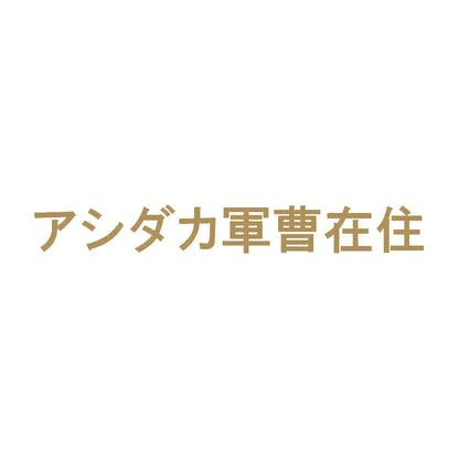 アシダカ軍曹在住 9