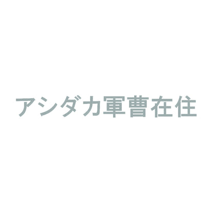 アシダカ軍曹在住 10