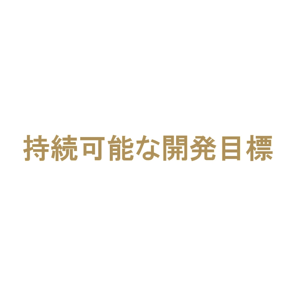 持続可能な開発目標 9