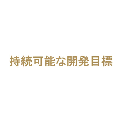 持続可能な開発目標 9