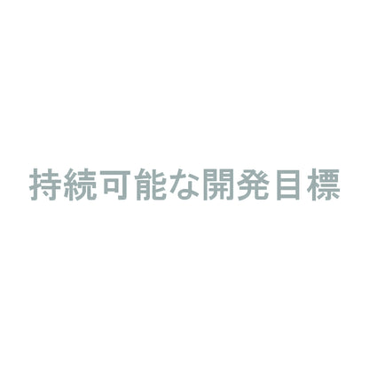 持続可能な開発目標 10