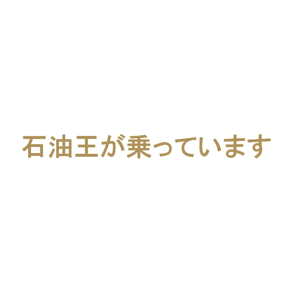 石油王が乗っています 9
