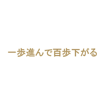 一歩進んで百歩下がる 9