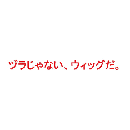 ヅラじゃない、ウィッグだ。 8