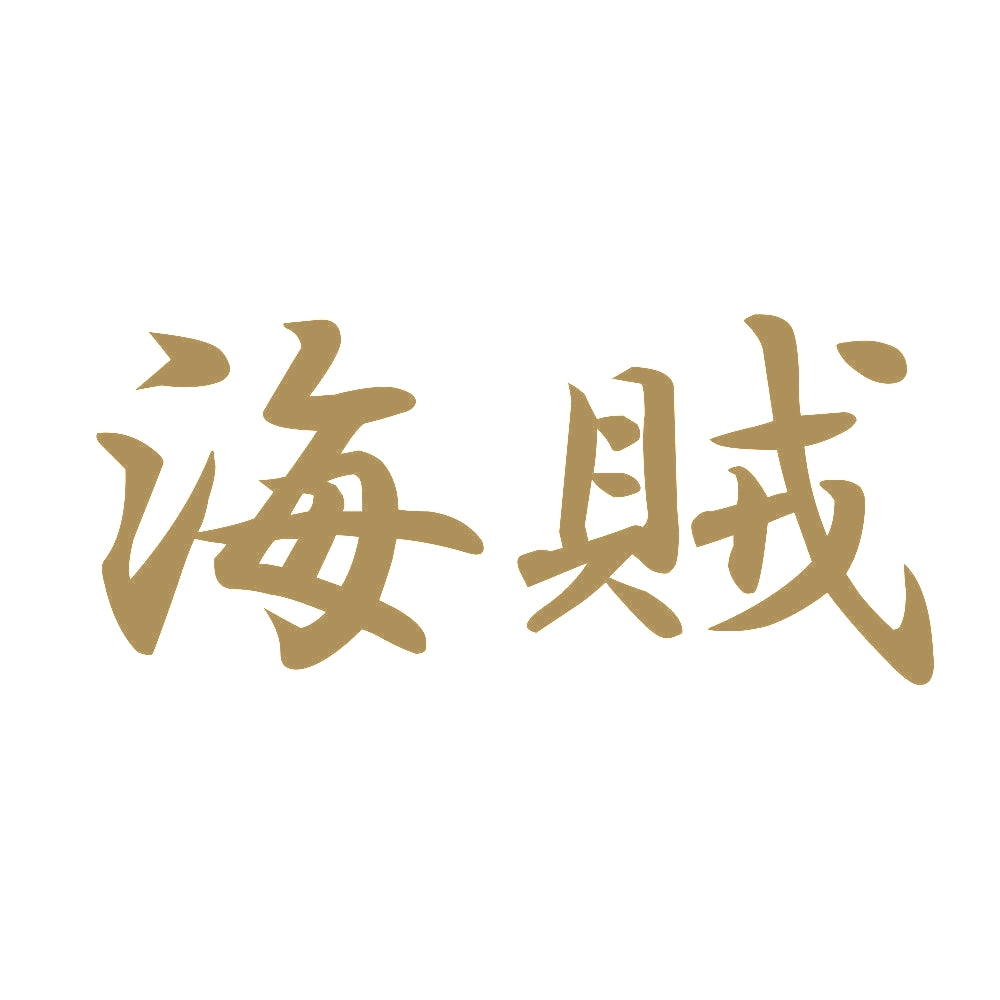 海賊 9