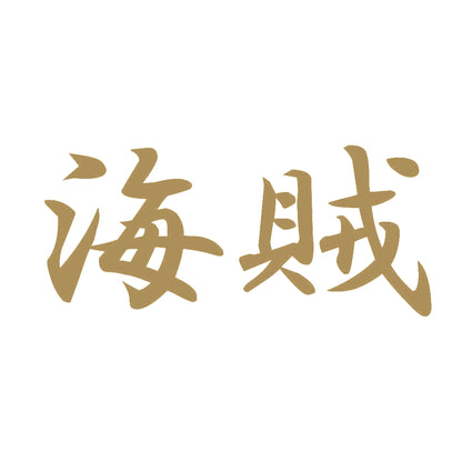 海賊 9