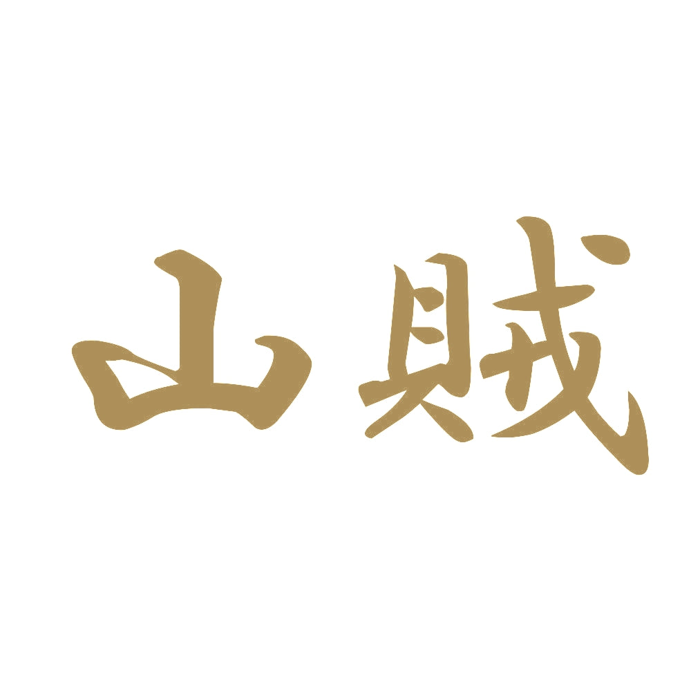 山賊 9