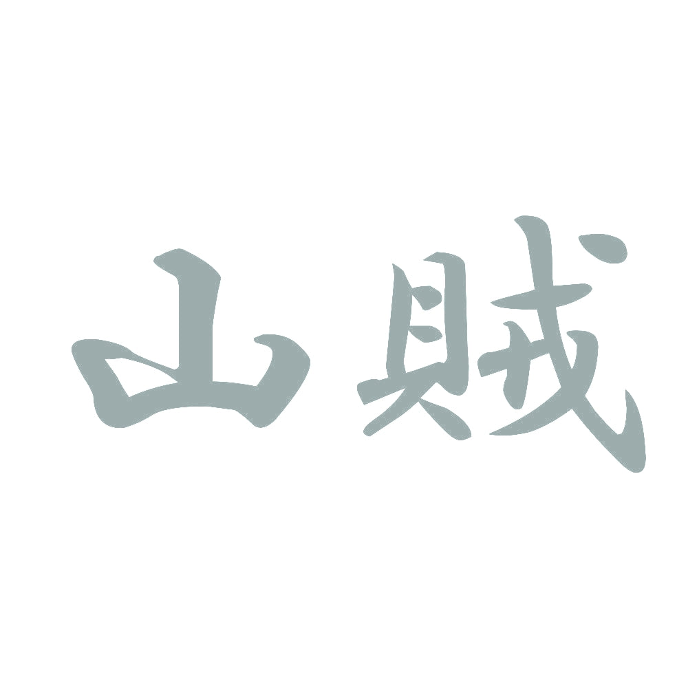 山賊 10