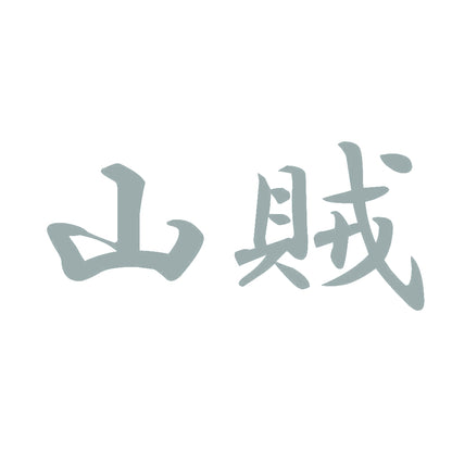 山賊 10