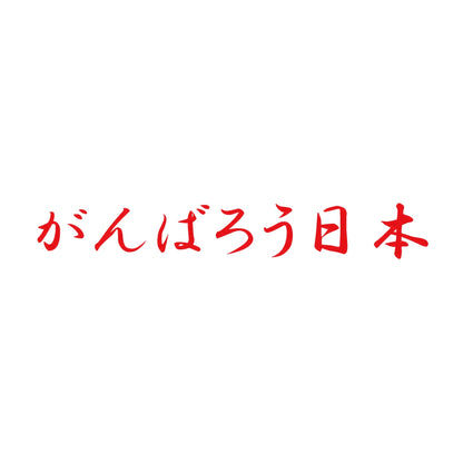 がんばろう日本 8