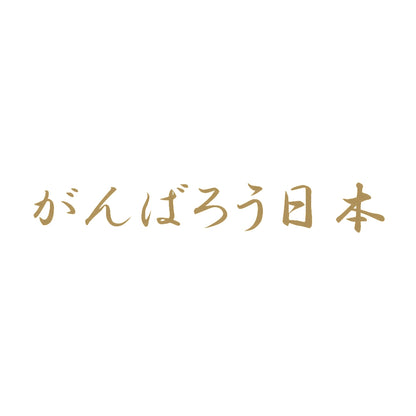 がんばろう日本 9