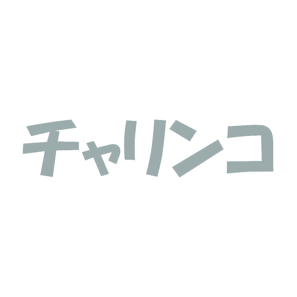 チャリンコ 10