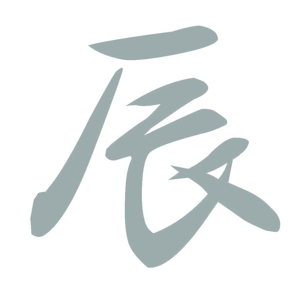 辰 10