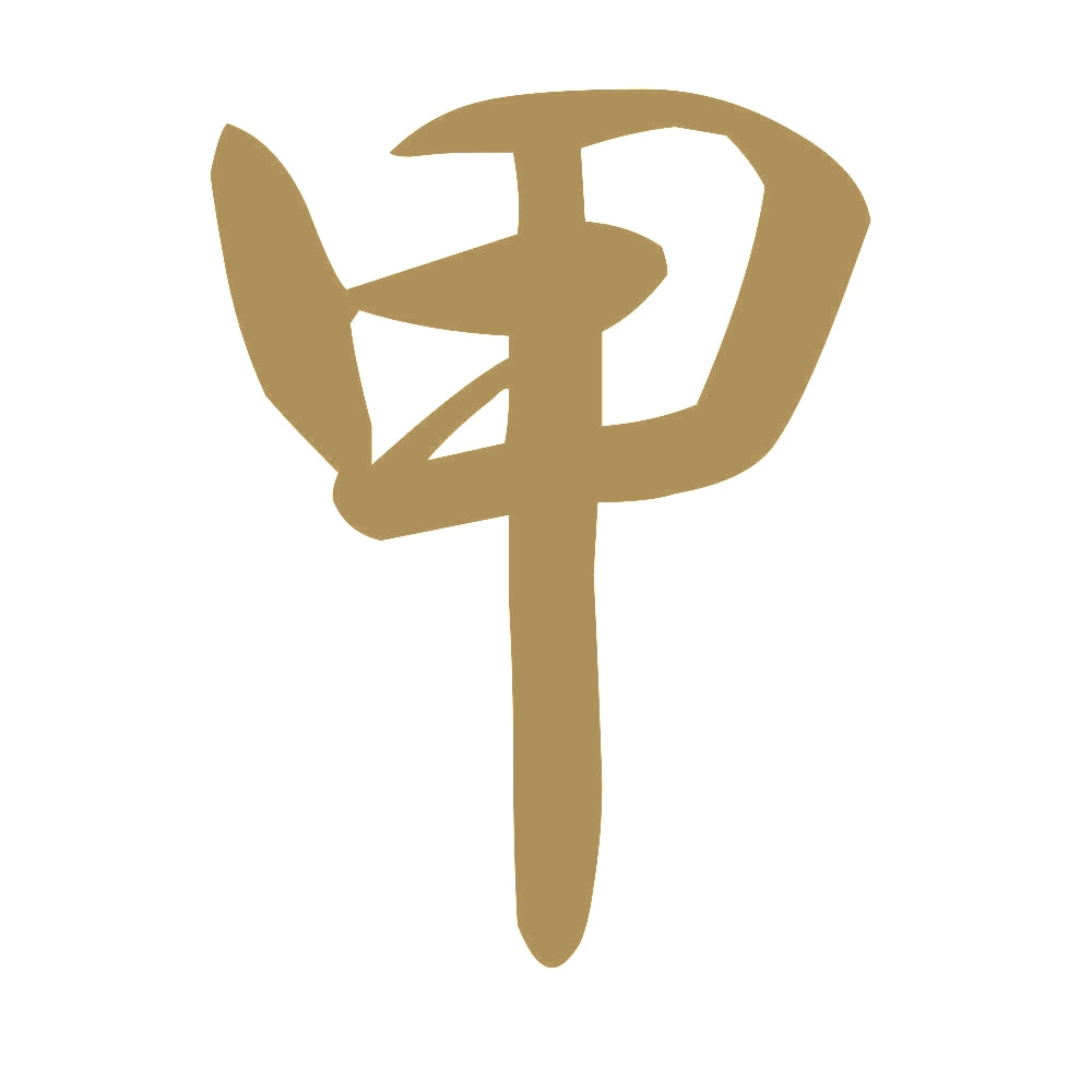 甲 9