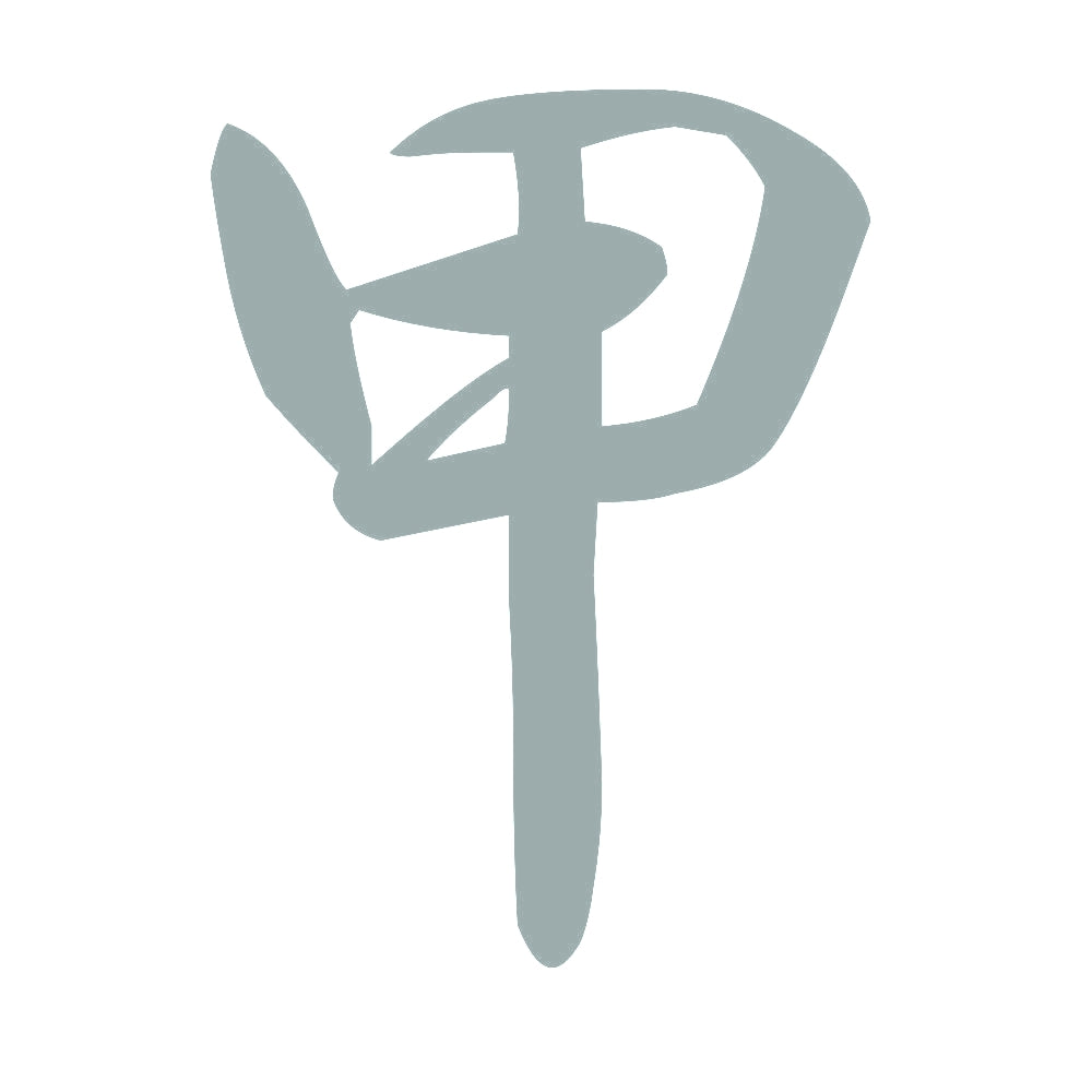 甲 10