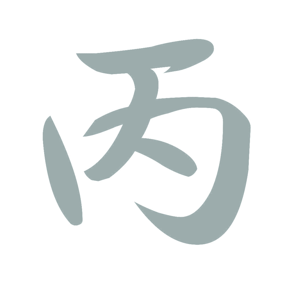 丙 10