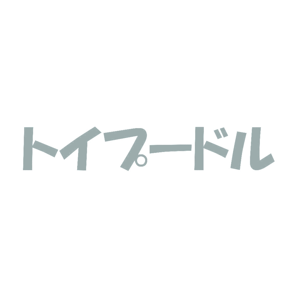 トイプードル 10