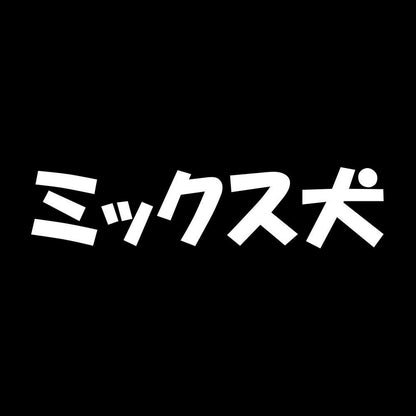 ミックス犬 7