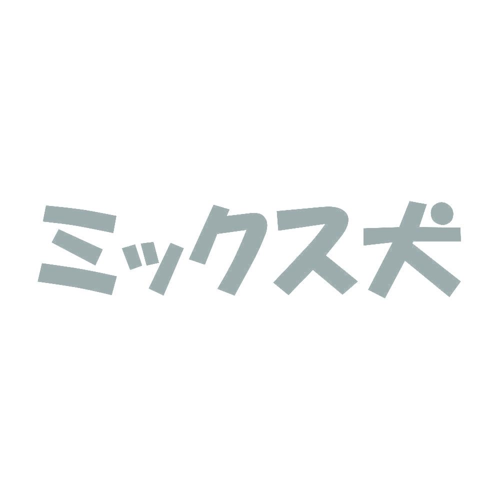 ミックス犬 10