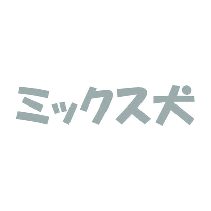 ミックス犬 10